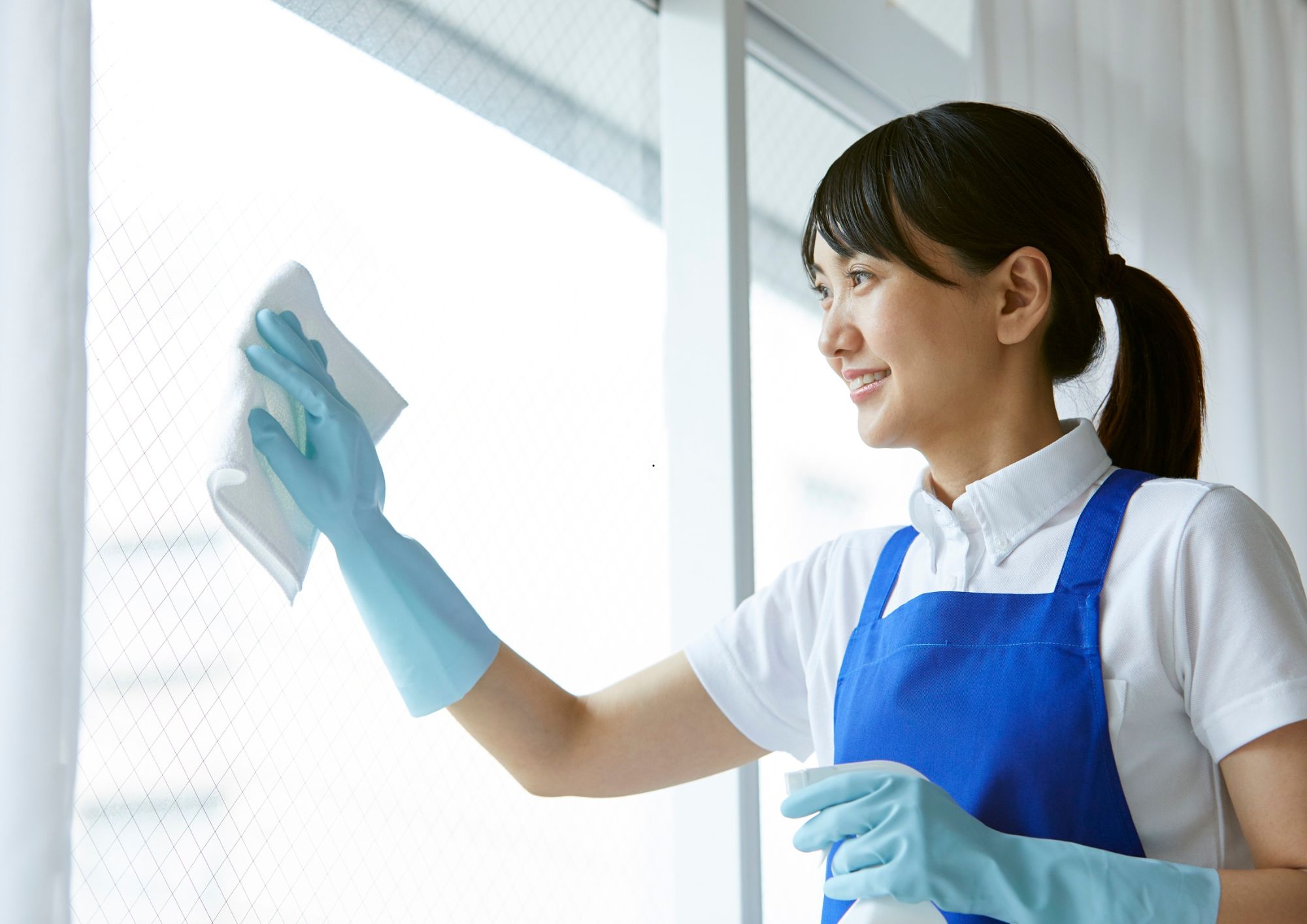 Window and Glass Cleaning