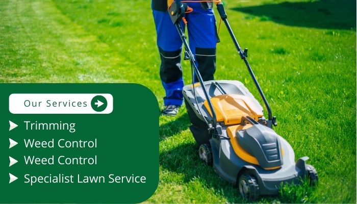 Specialist Lawn Service